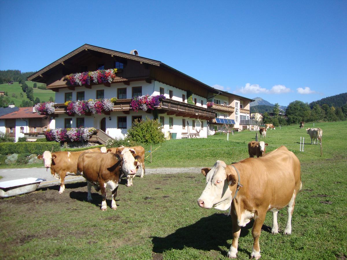 Sixenhof Apartment Niederau Exterior photo